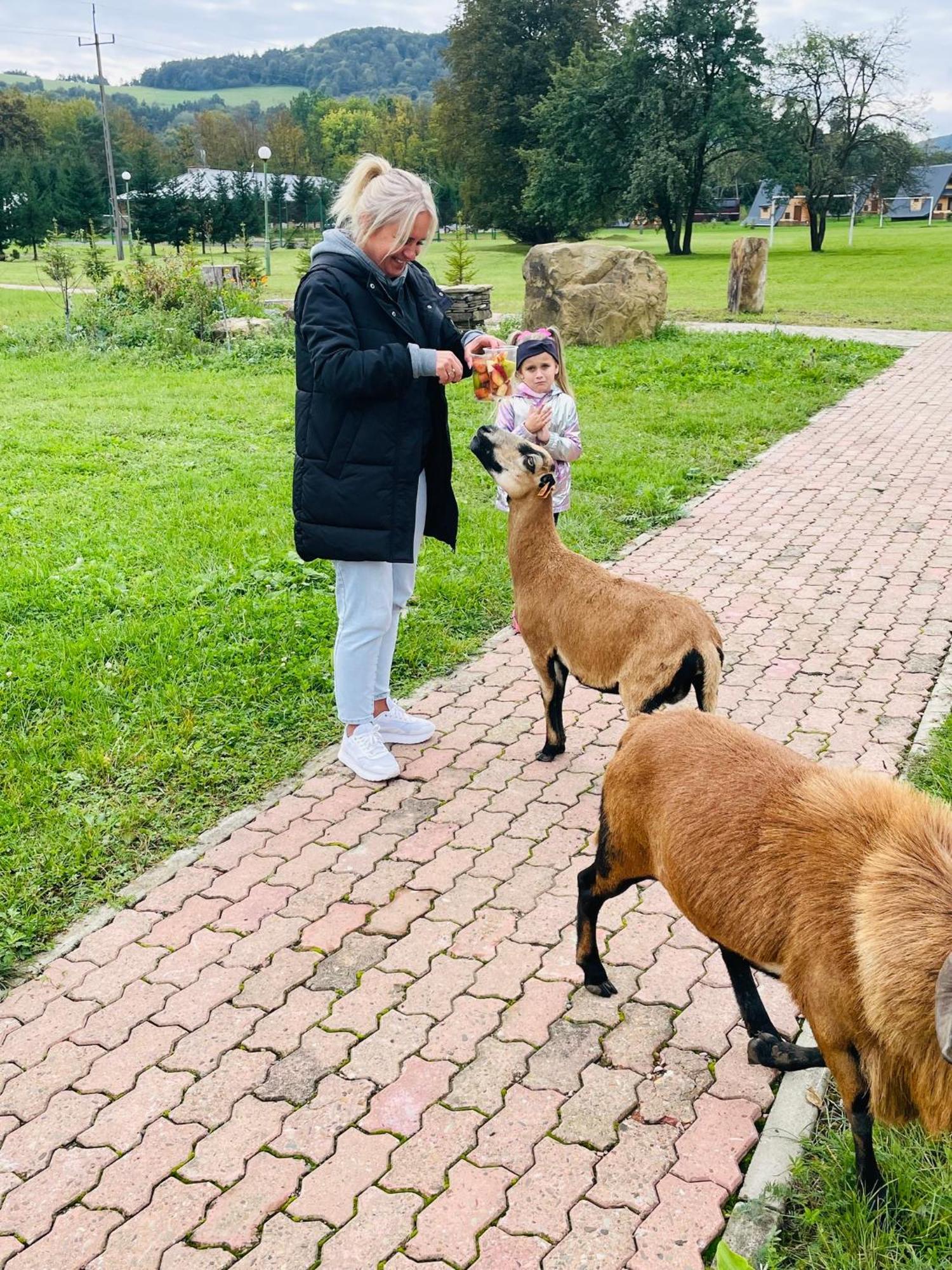 Osrodek Wczasow Zdrowotnych Rudawka Rymanowska Lägenhet Exteriör bild